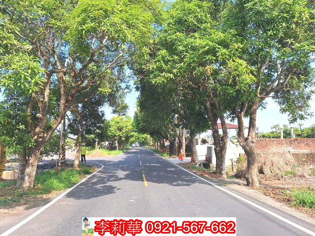 芒果綠色隧道臨路6分農地