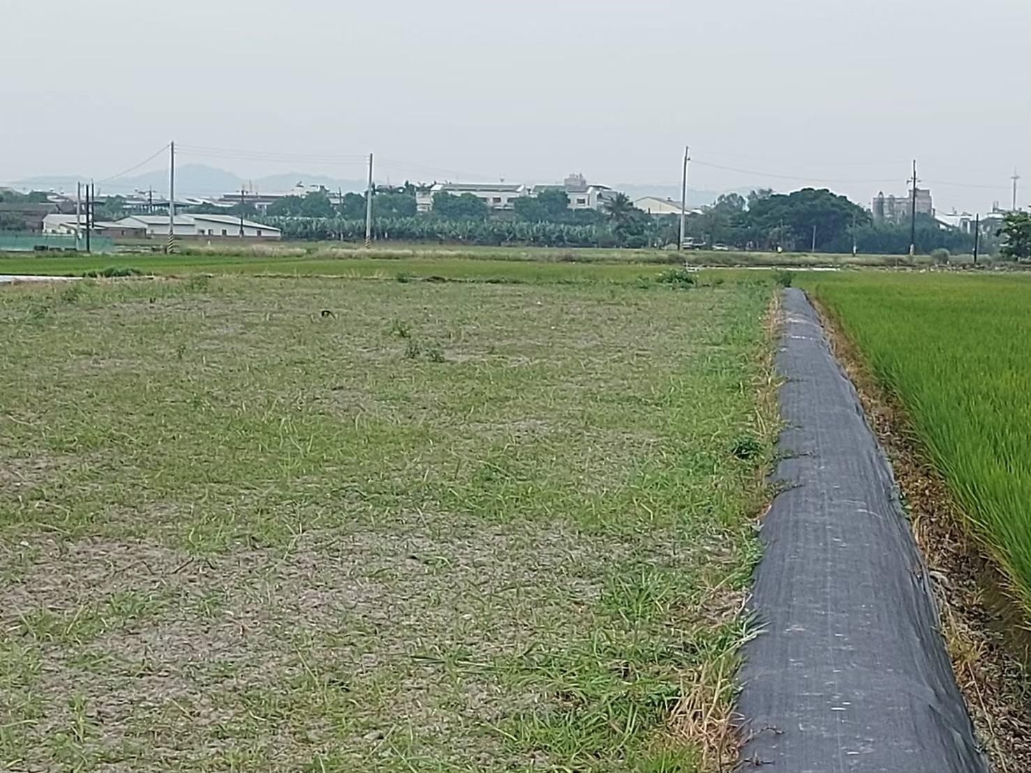 白河有水有電都內農地