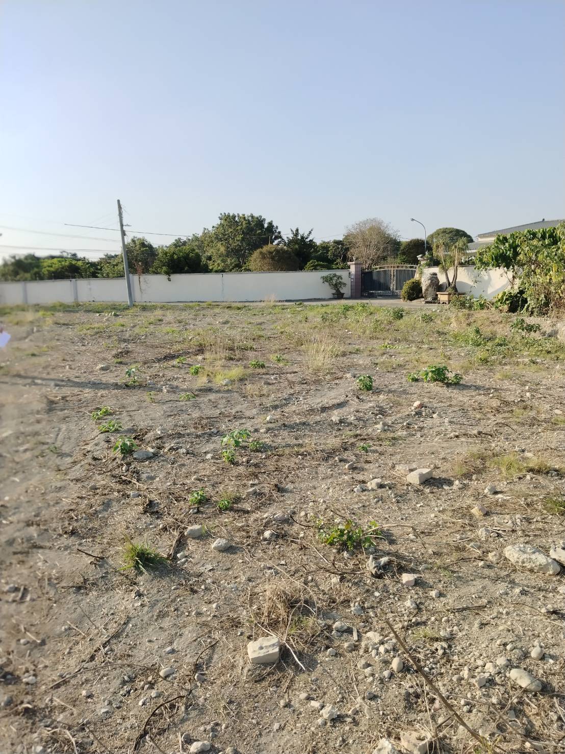 鳥松投資型大面積農地