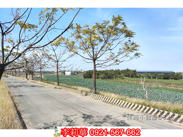 仁德中洲有水有電方正農地