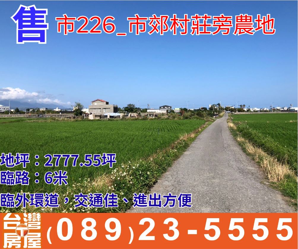 市農226_市郊村莊旁農地