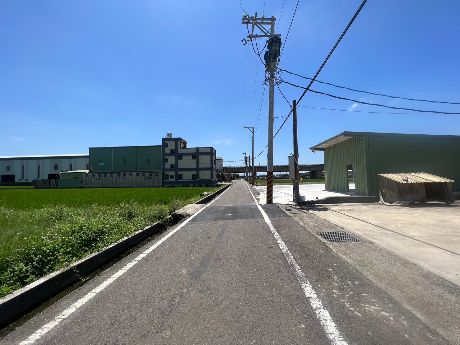 大園 西濱旁 一般農 (A)