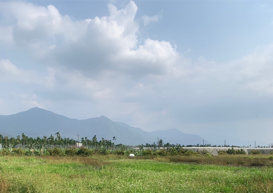 高樹觀山休閒農地