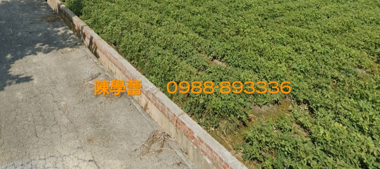 北港好收國小3.9分農地