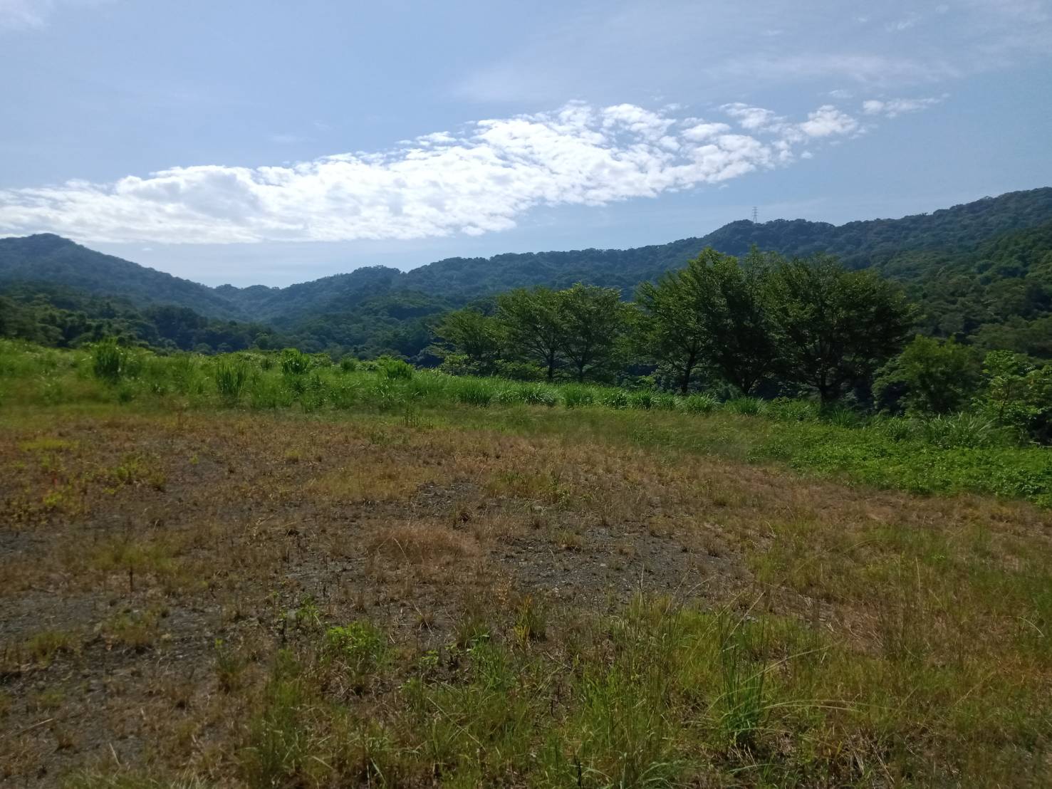 鶯歌交流道旁工業地/專營大台北大桃園工業地廠房出售出租