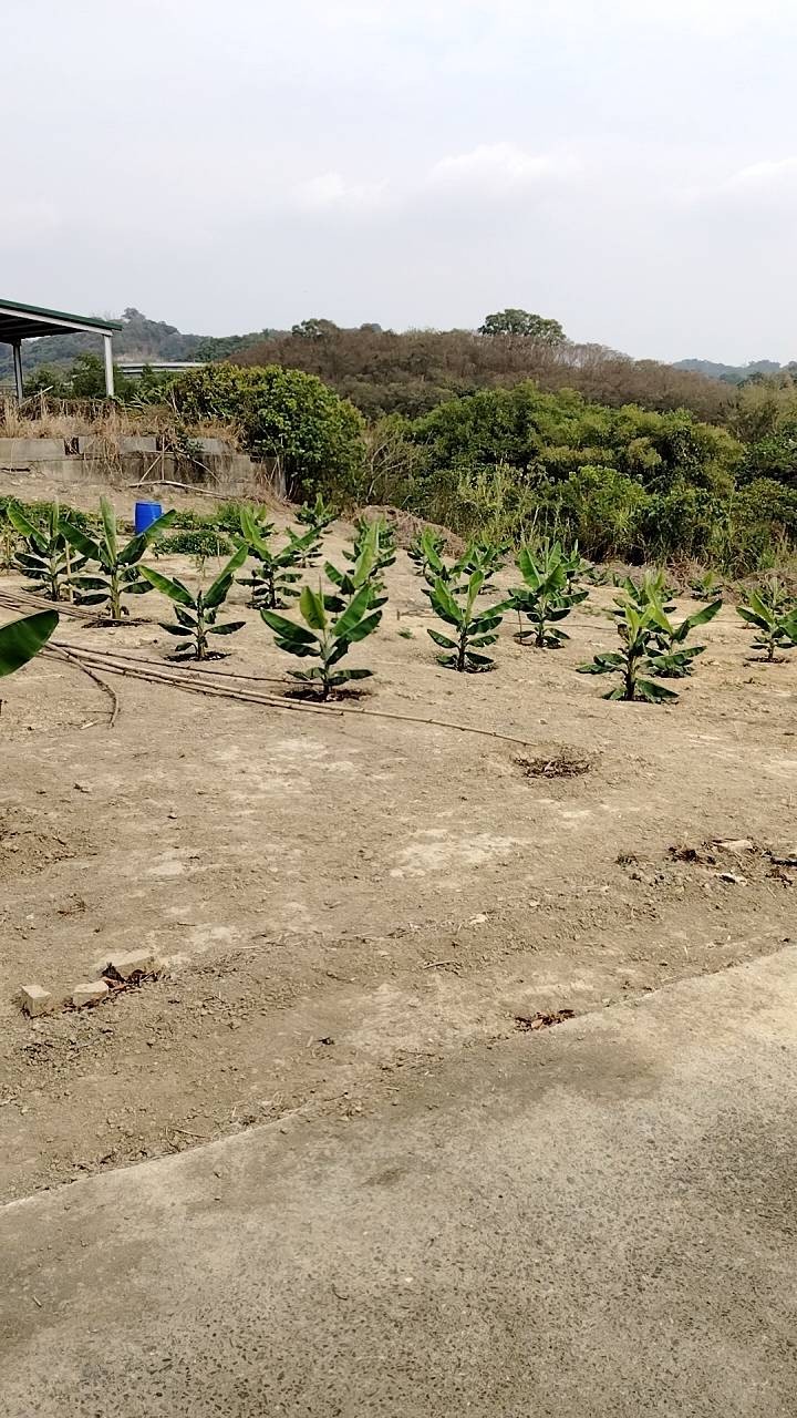 仁武義大二路精美型小農地