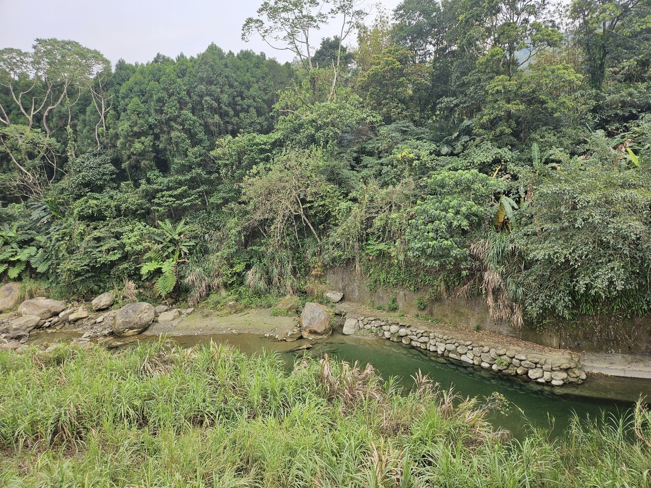 竹山筍子林段鹿子坑小段景觀地台中買屋賣房,土地王劉志忠