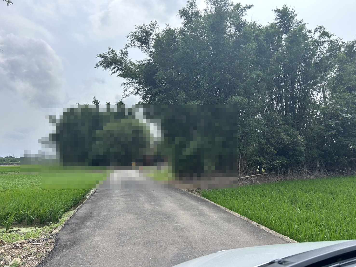 12米大路旁甲建