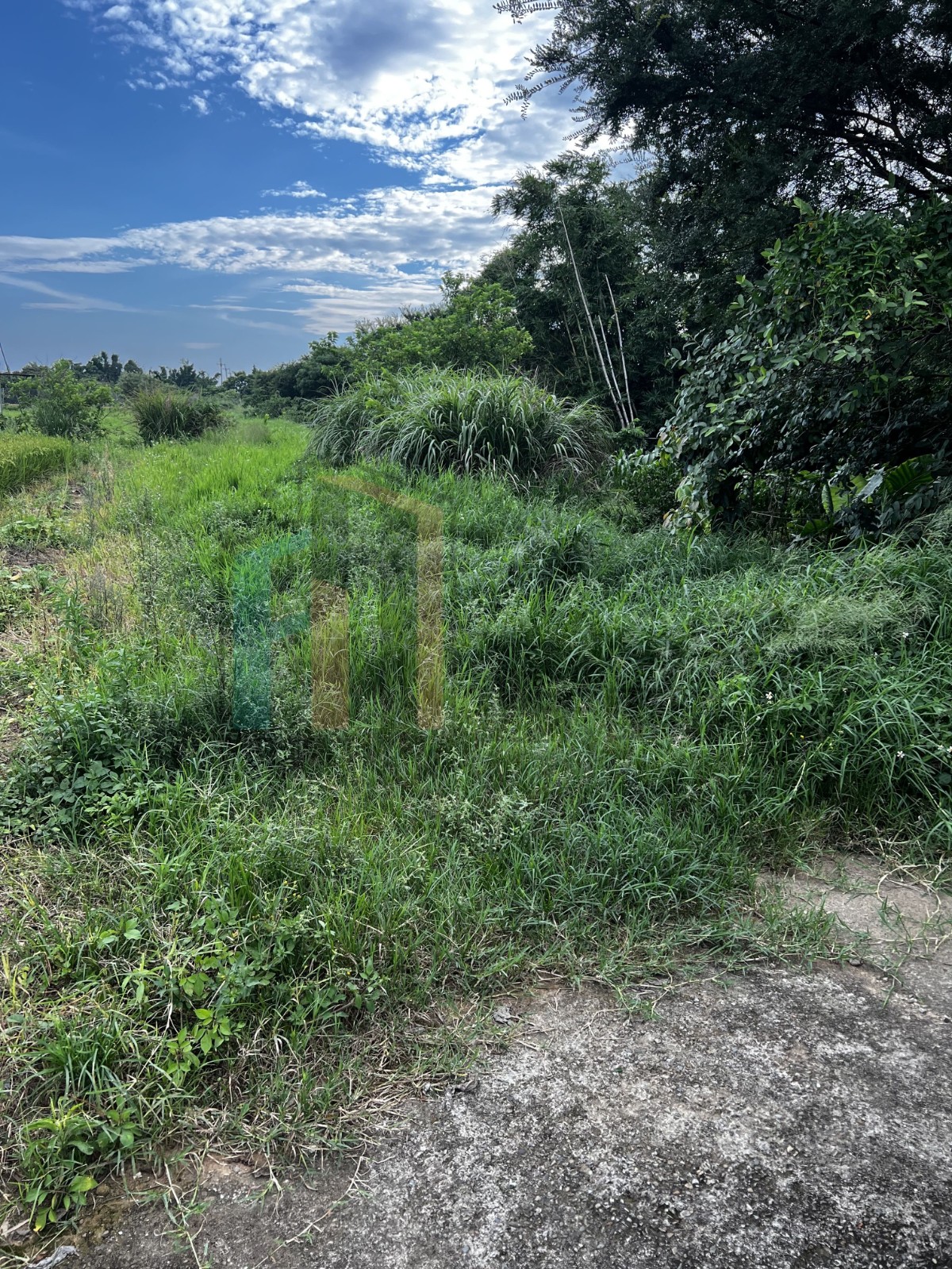 楊梅楊湖路二段美農地