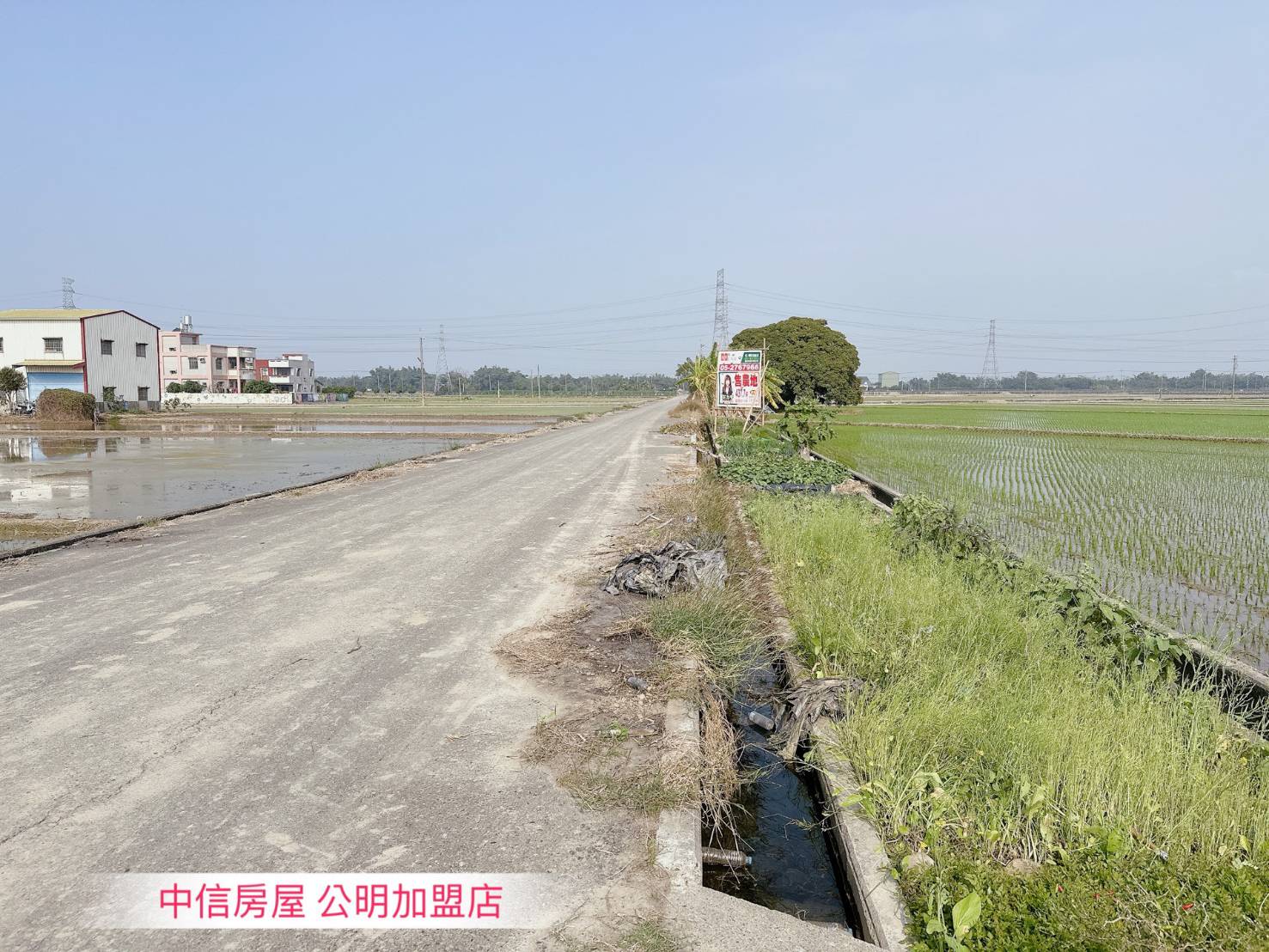 民雄近中正大學農地（2）