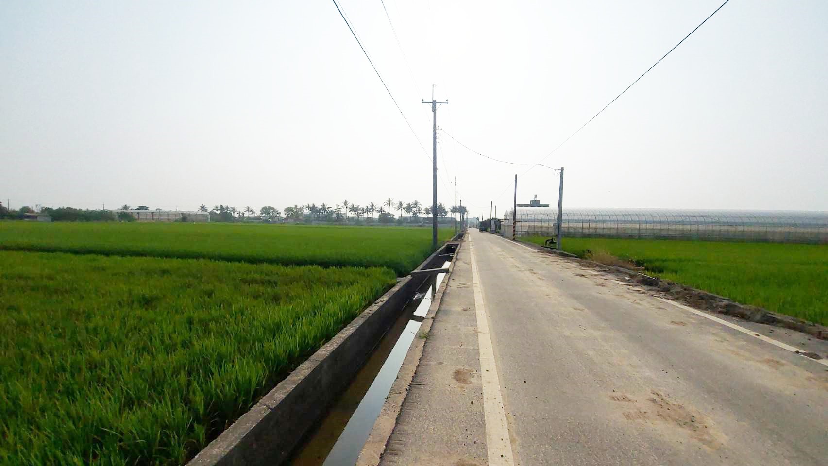 太保市新埤農地