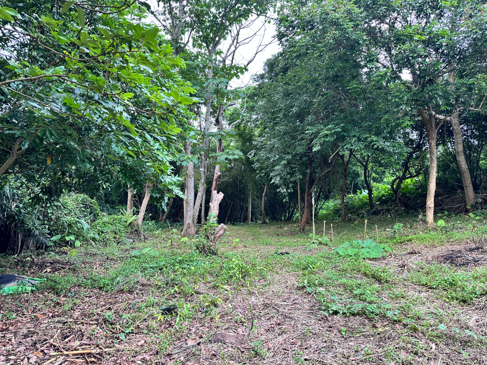 文德路休閒地