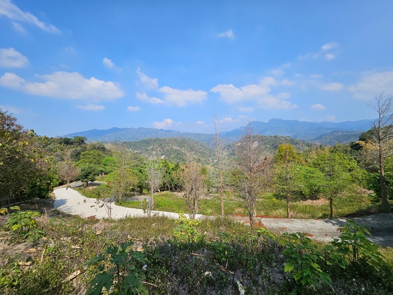 台中買屋賣房 土地王劉志忠 太平近華盛頓景觀農地1