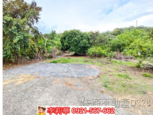 玉井1.14甲珍稀林木農園
