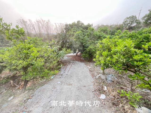 觀音二媽欽點漂亮農地