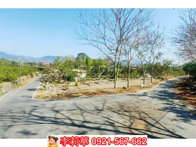 玉井馬路旁有水電農牧用地
