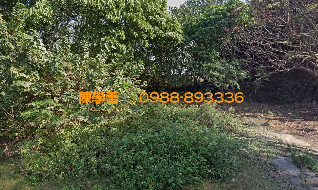 崙背乳牛生產合作社建地