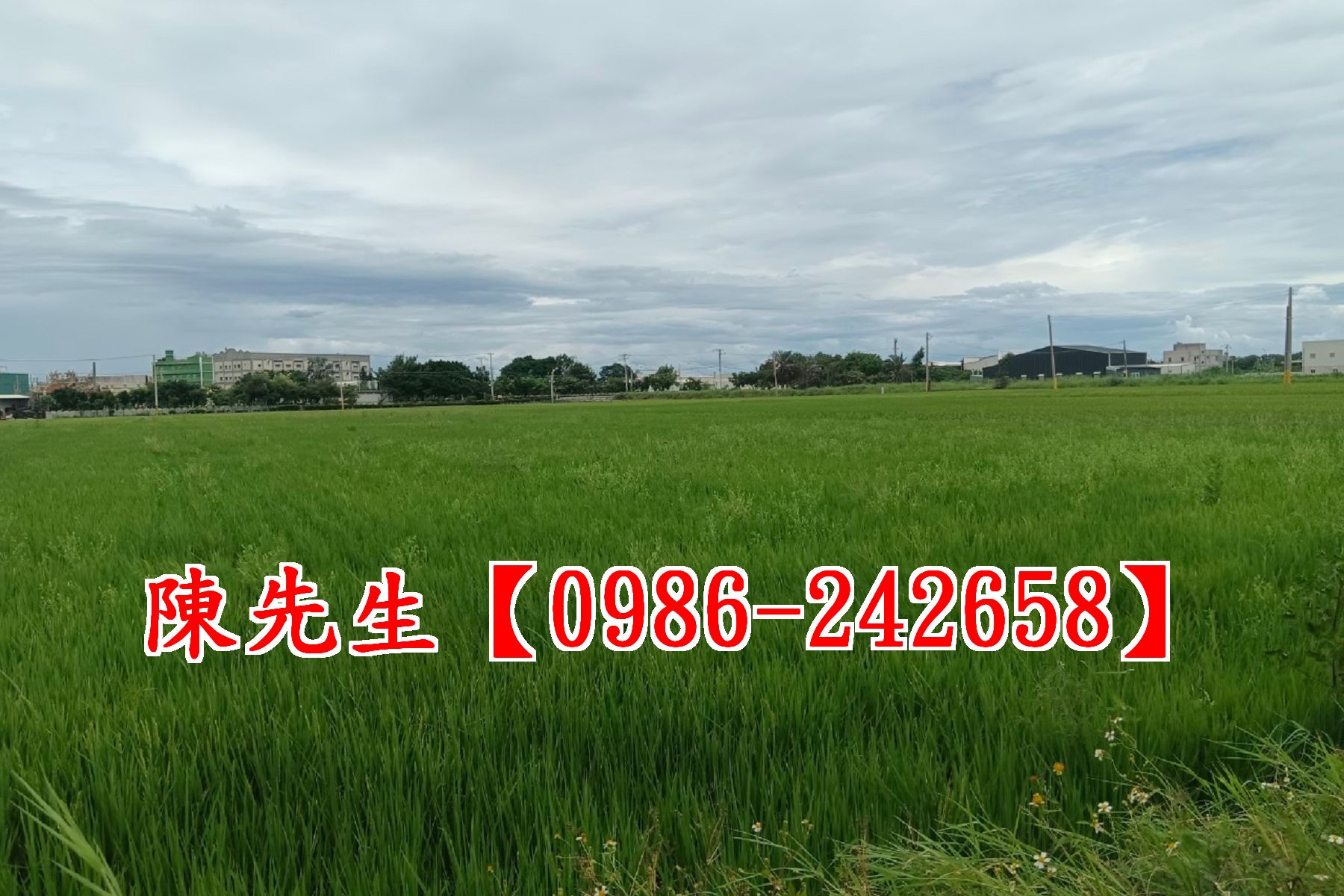 鹿港洋厝溝大橋田地~洽陳先生0986-242658