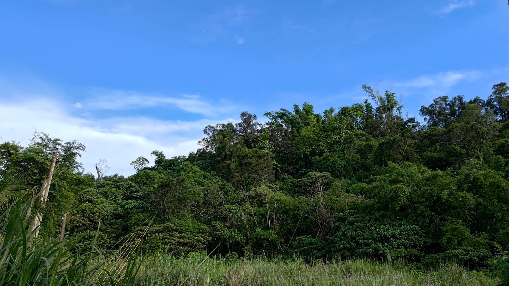 仁武橫山三巷低總價農地