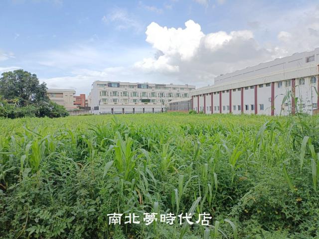 西港國小建地一