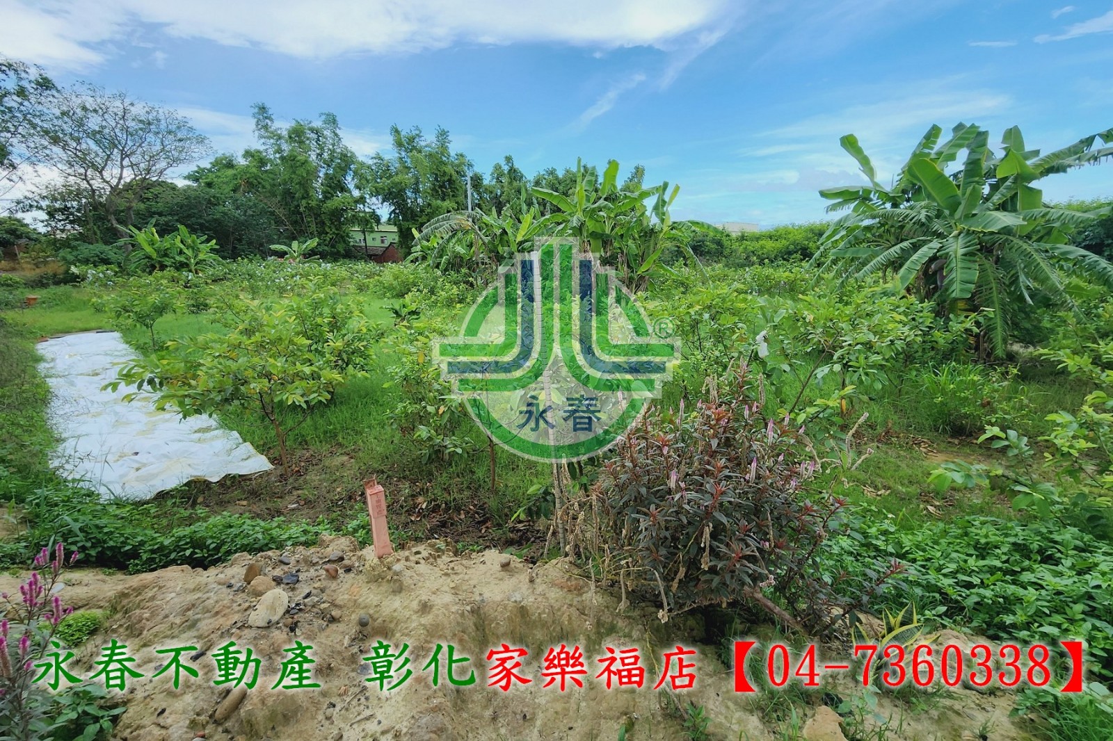 【彰化永春】和美國三旁農地~專營彰化土地