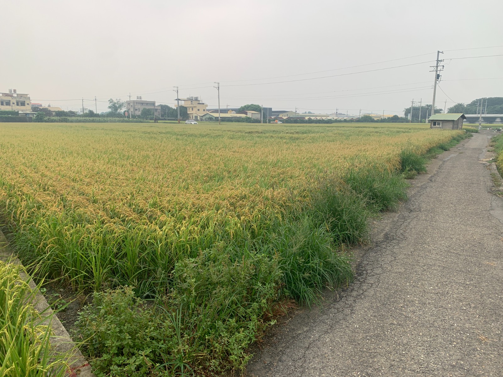 北斗大新路4.7分水電美田