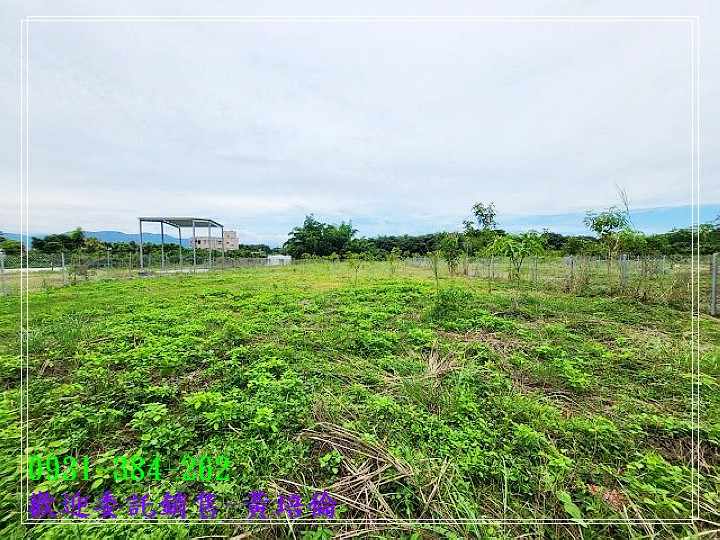 玉井望明路邊一般農地台南培倫房屋土地王H。蝸牛居0931384262