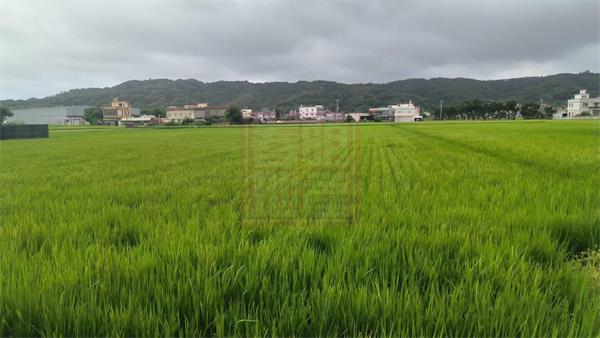 新竹縣竹北市鳳岡國中大面寬美田1025坪-春明地產-035551111