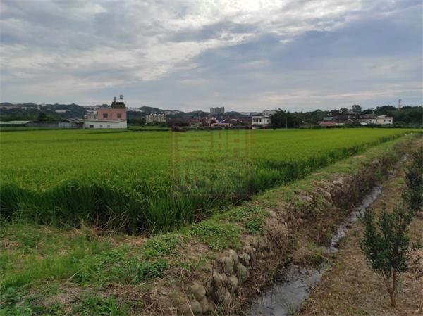 新竹縣芎林鄉富林路甕窯雞開心農場-春明地產-035551111