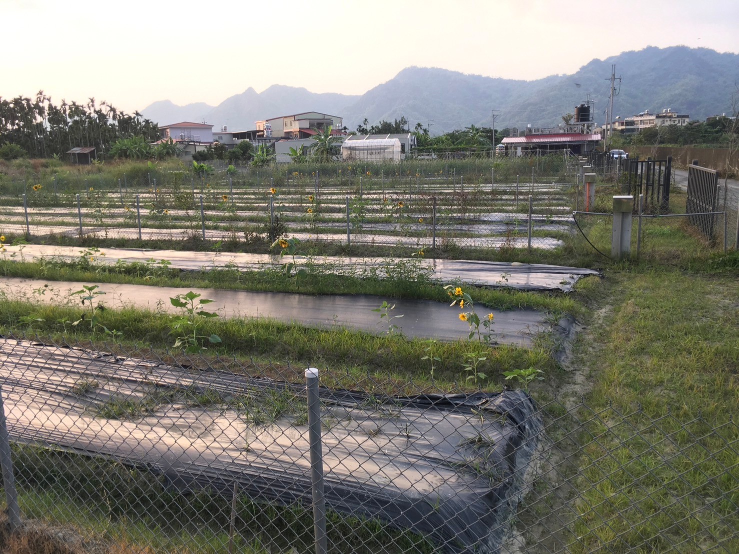 美濃漂漂河~110坪都內農地