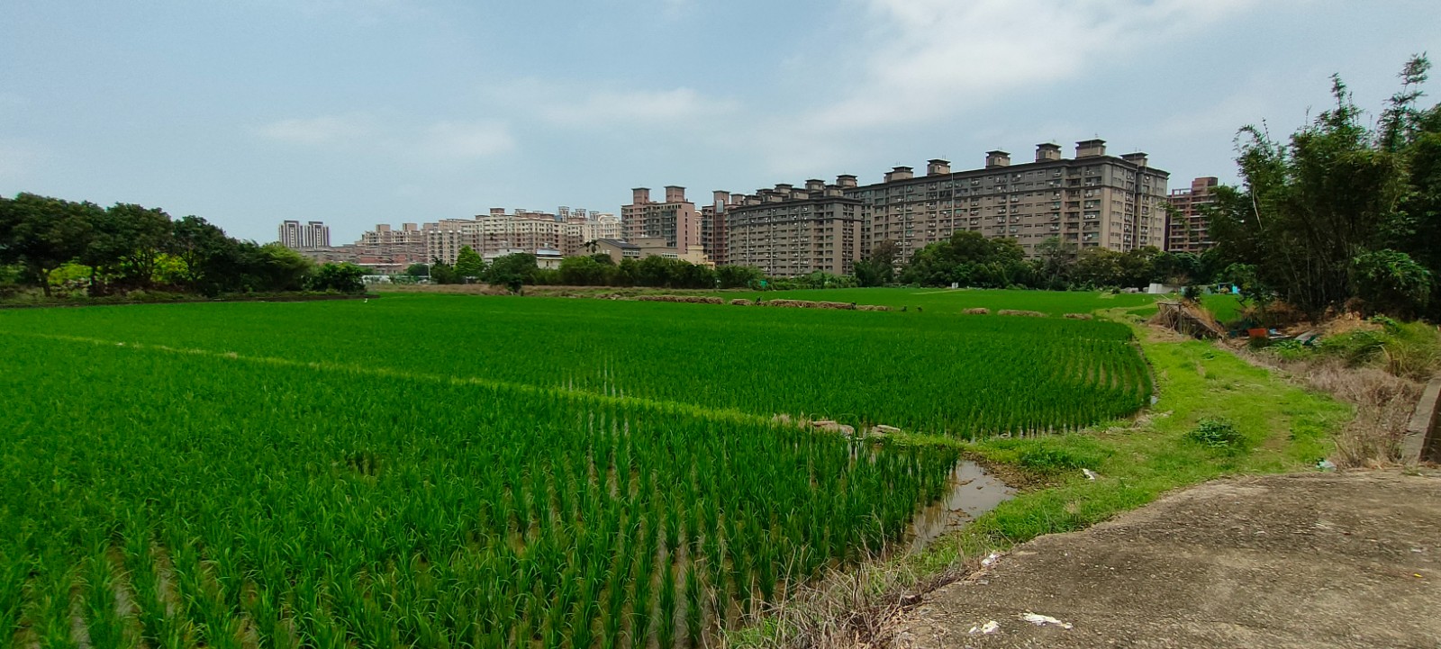 楊梅埔心工+農/專營大台北大桃園工業地廠房租賃買賣