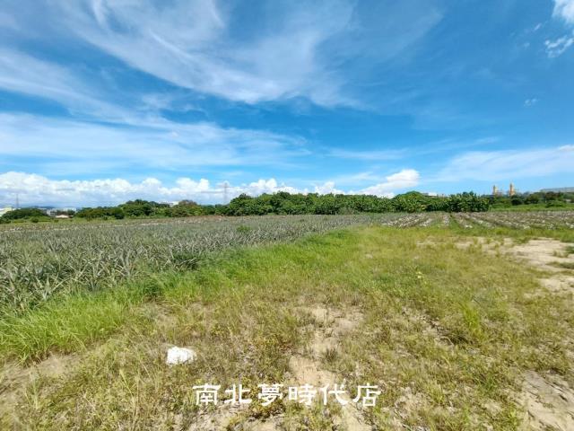 山上區大新段農地四
