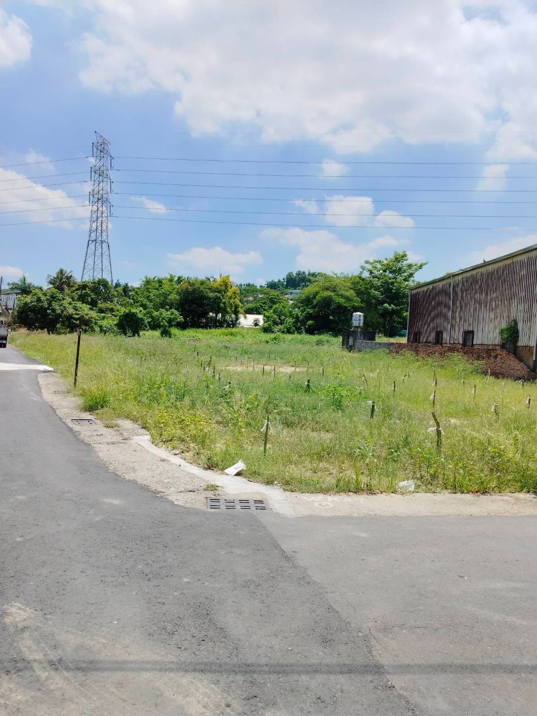 仁武 成功路雙面路 都內農地