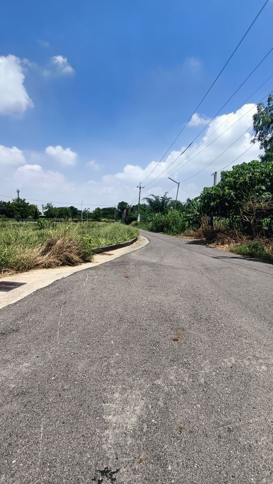 嘉義民雄美農地