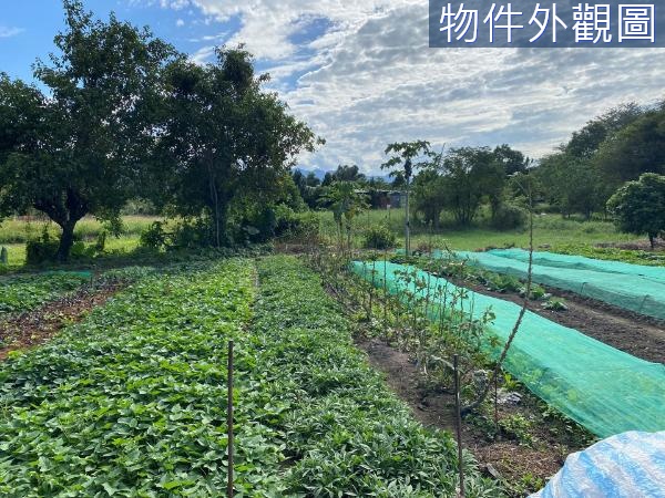 安家幸福在北大 三峽區重劃土地麥子園都市計畫持分土地劉厝埔稀有小坪數