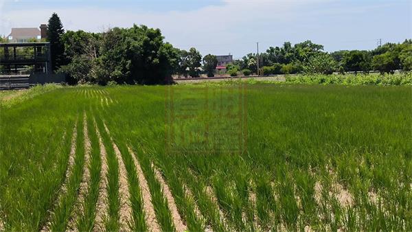 新竹縣竹北市中正西路美田稀有出售-春明地產-035551111