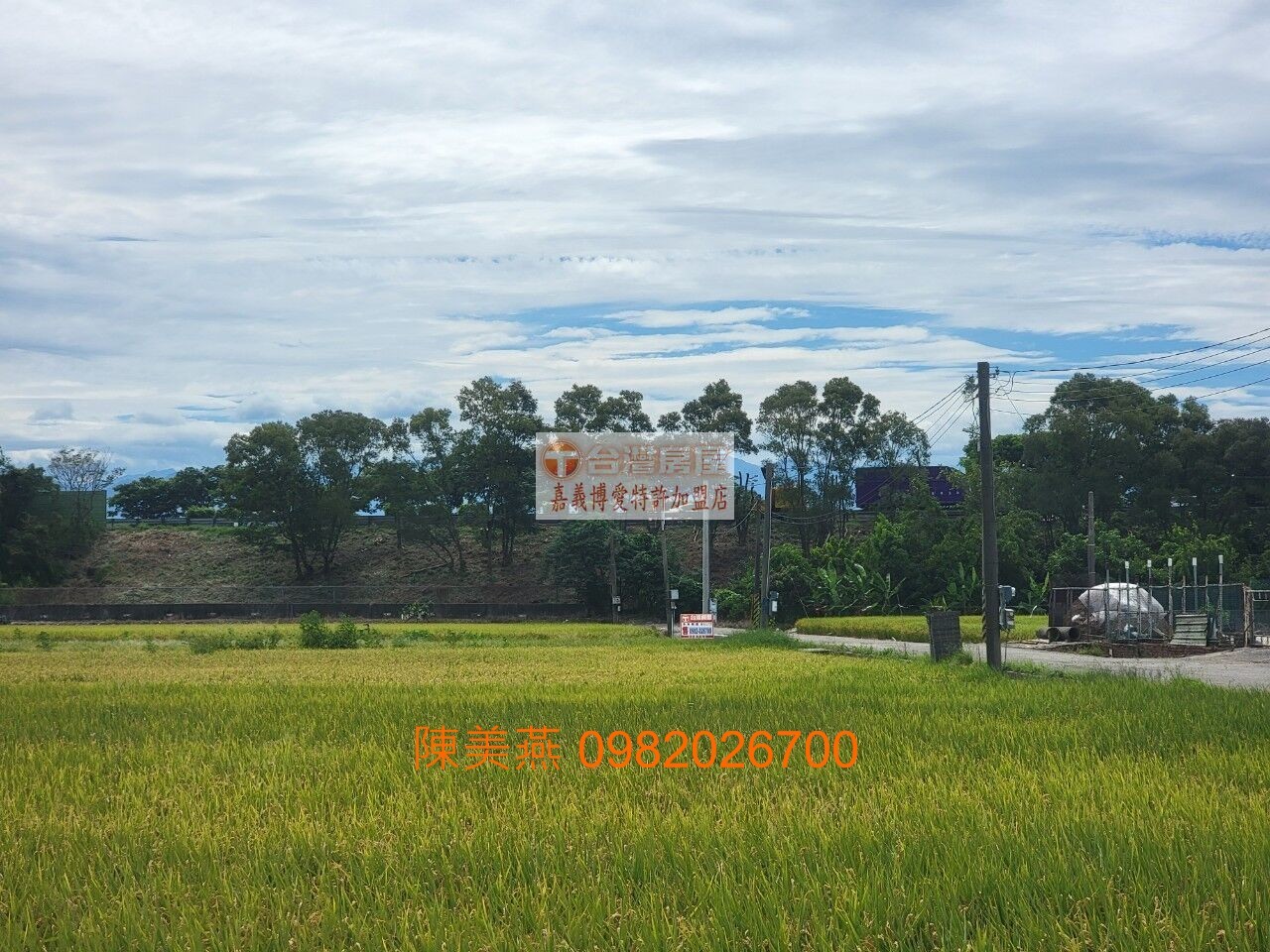 獨賣-民雄田中央美農地