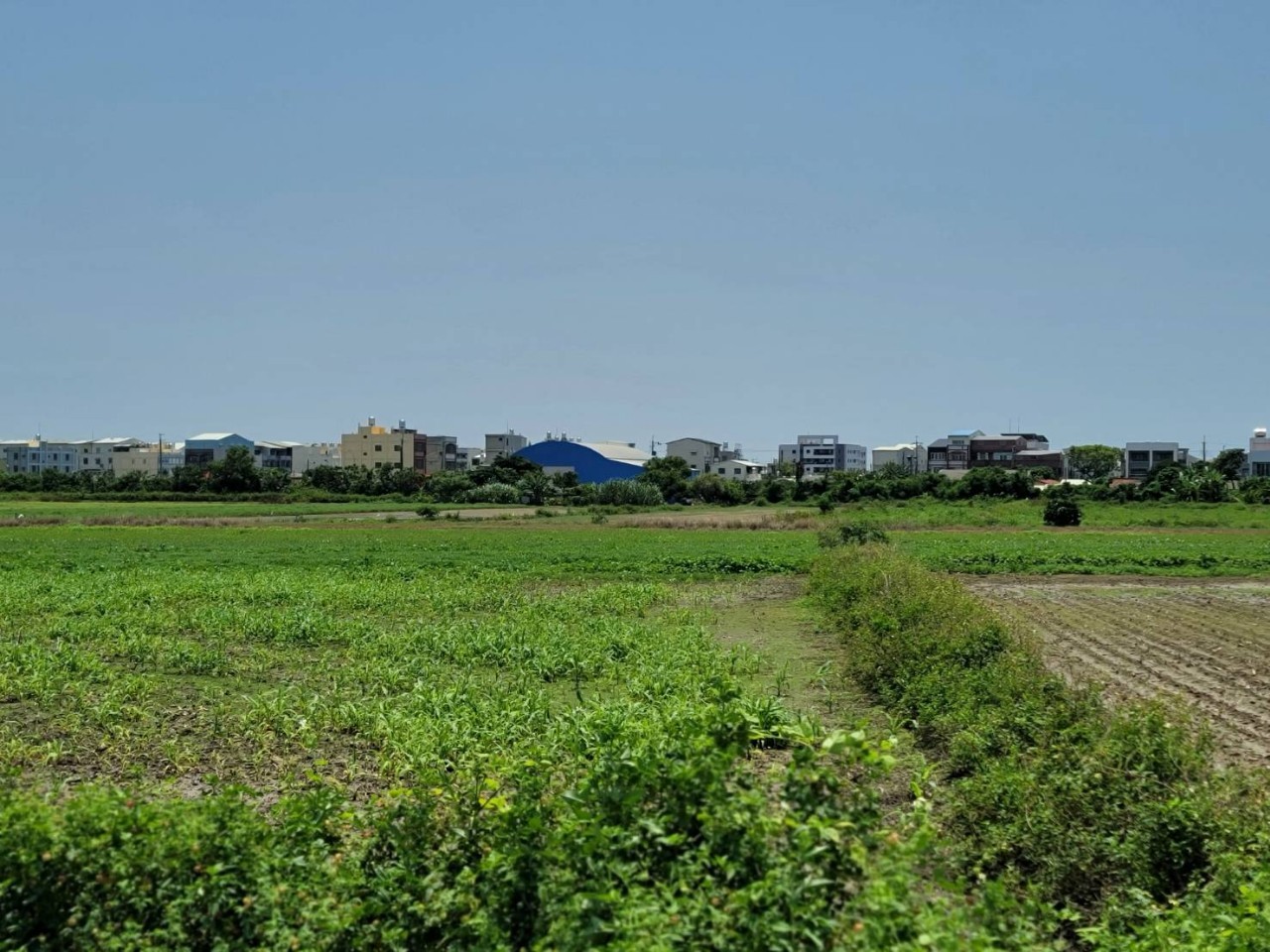【地利佳宅】 學甲30坪漂亮建地
