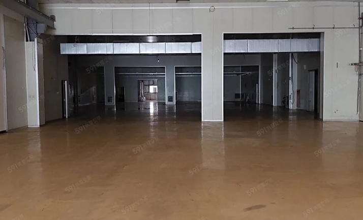 樹林市區挑高鋼構廠房(可依法廠登)