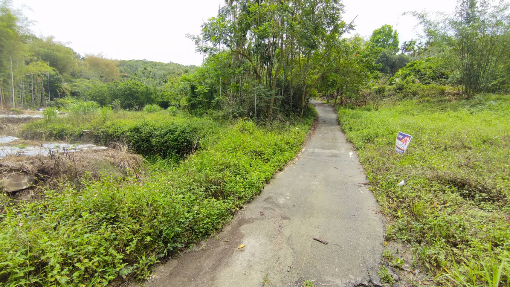 塩館大坪數農地