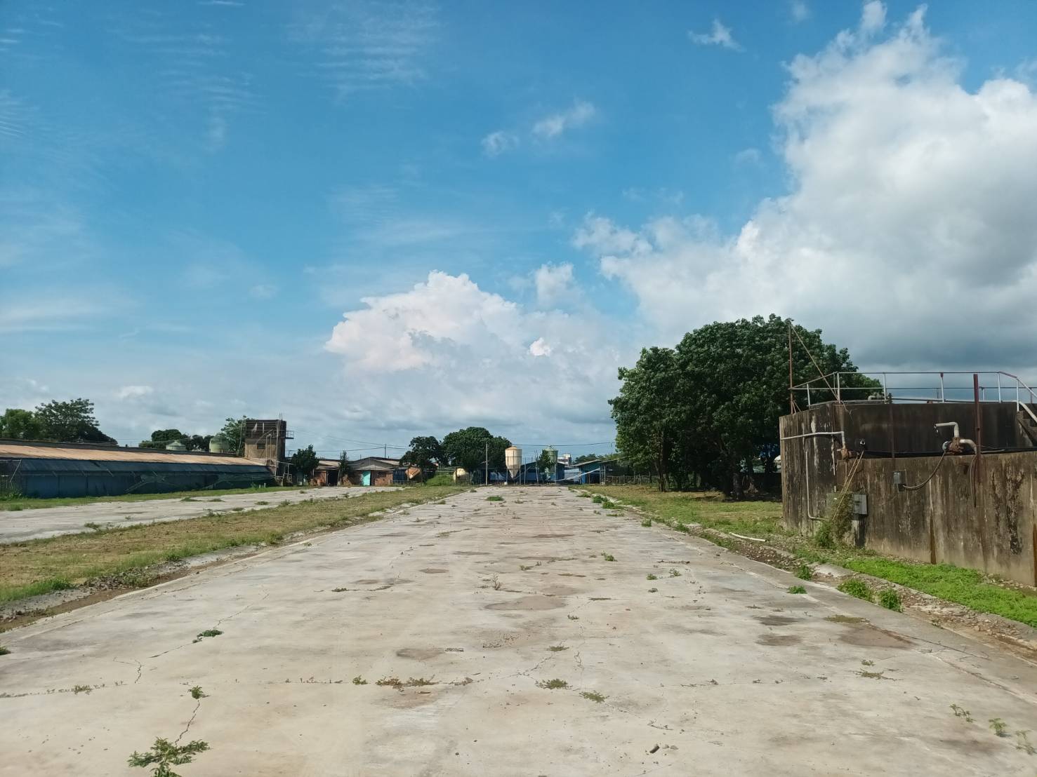 善化區大地坪大面寬方正農牧用地+廠房