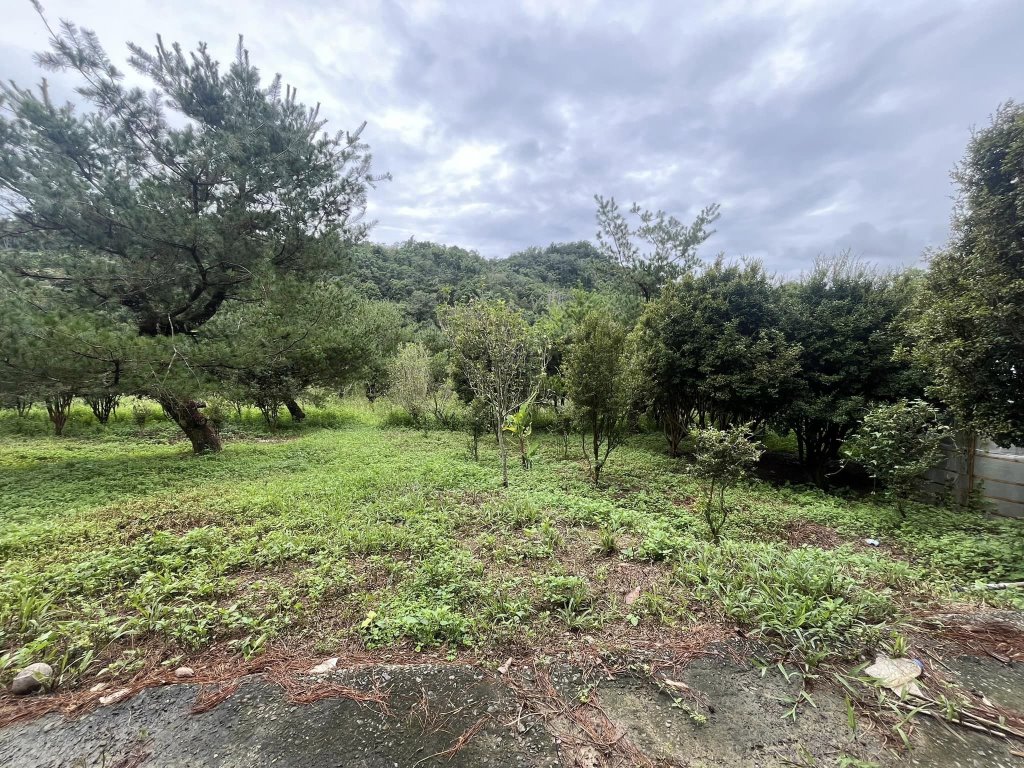 國姓近北山交流道農地