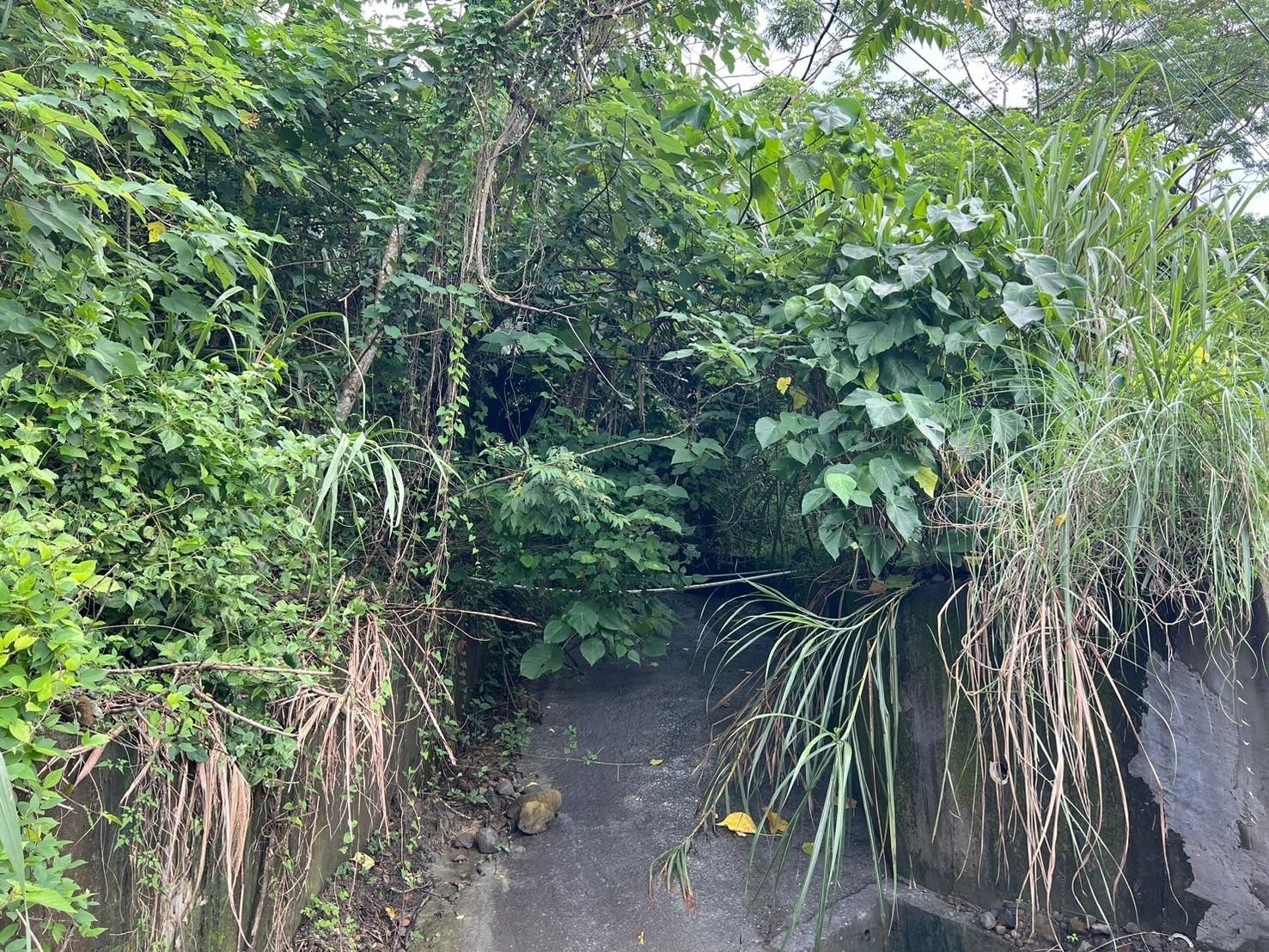 崁頂福安宮旁面路臨溪農地