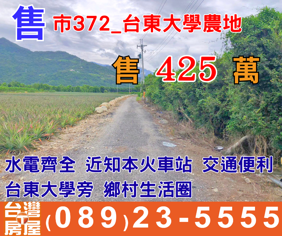 市372_專任 台東大學農地