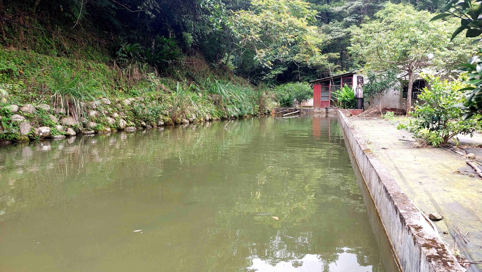 橫山油羅休閒屋加魚池(近增昌大橋)