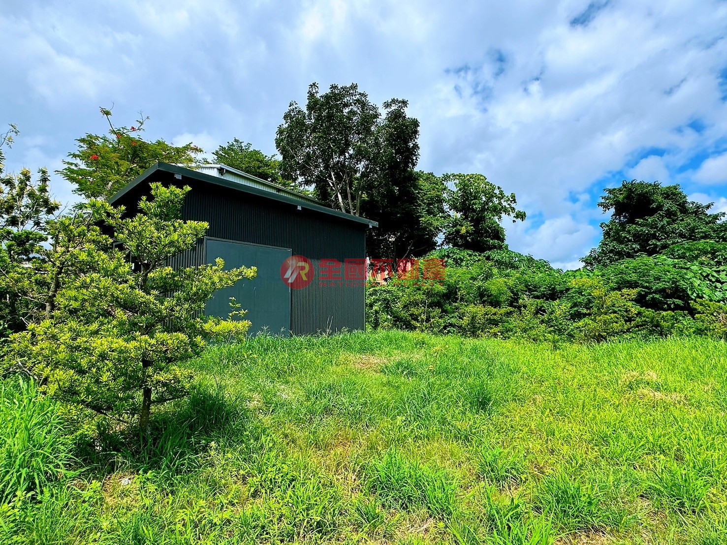 農29-機場旁都內農地