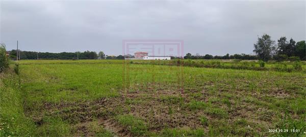 新竹縣新豐鄉青埔子優良農地可分售-春明地產-035551111