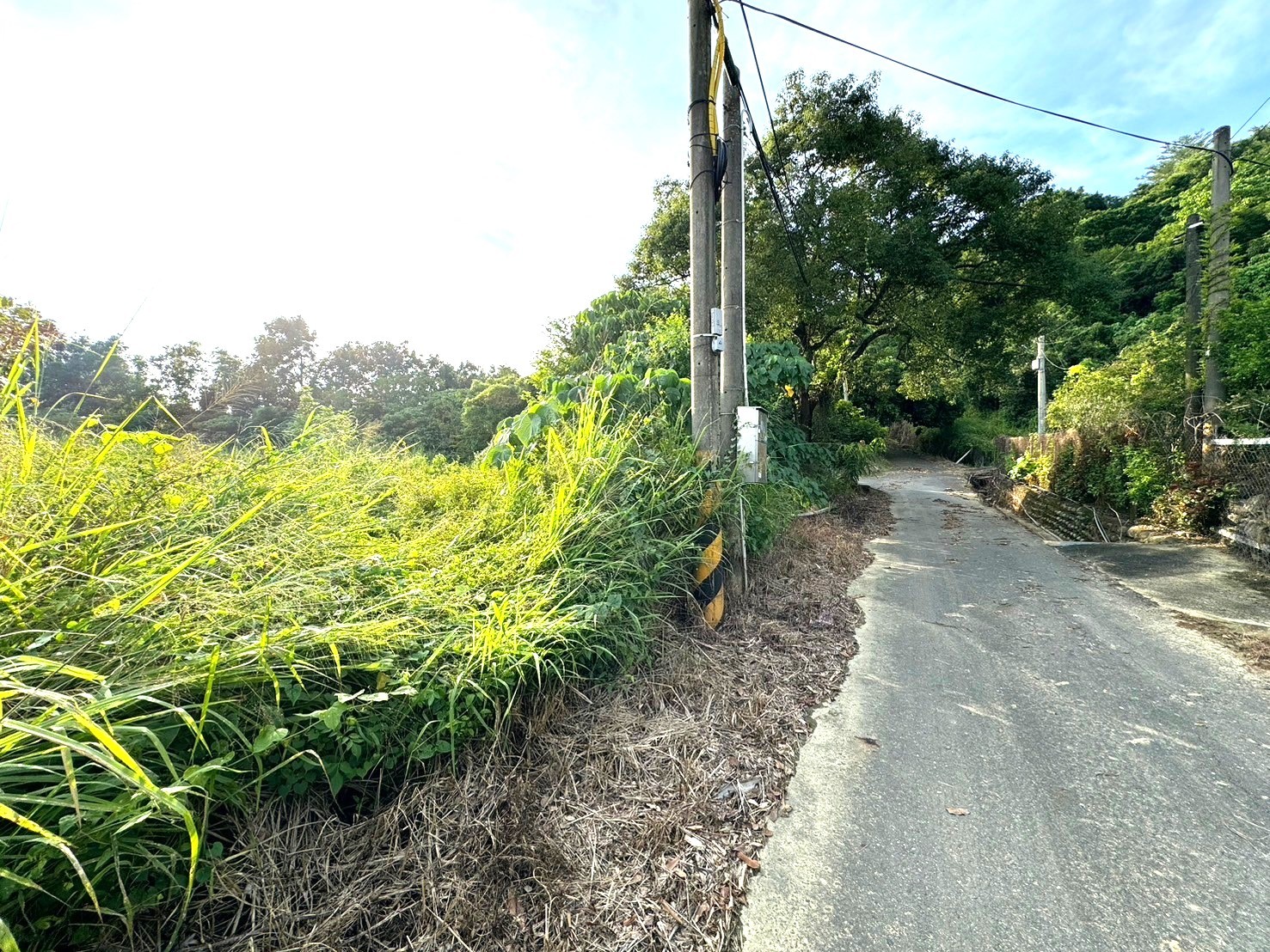 獨賣~~楠西優質休閒農地