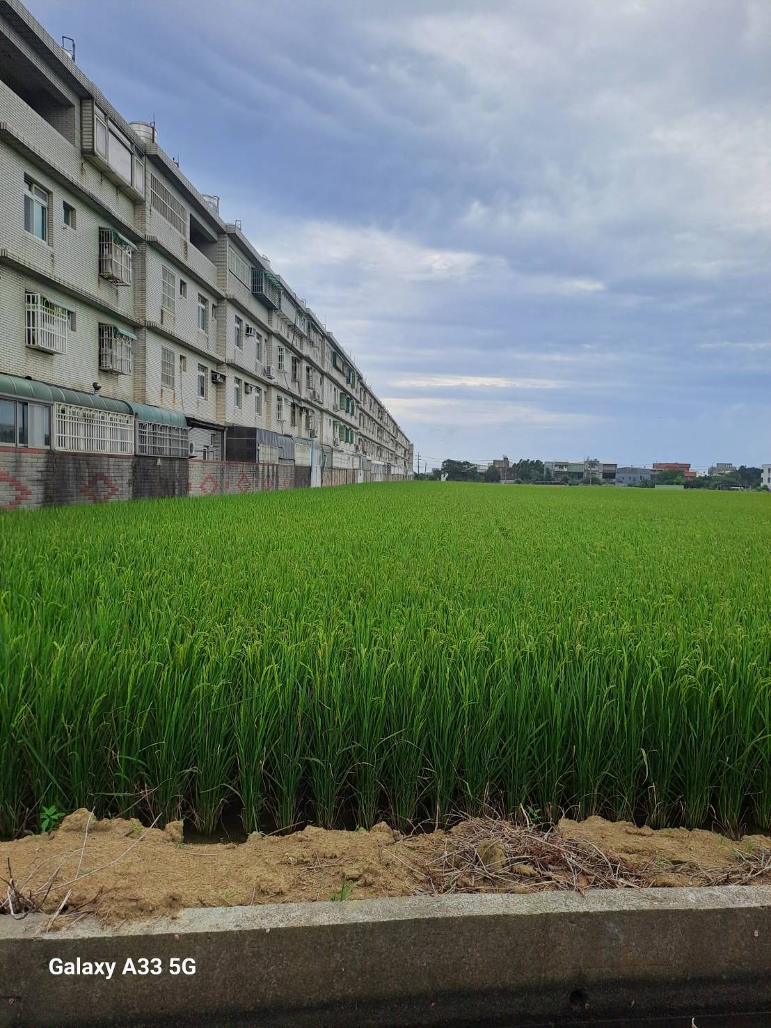近新坡都內農