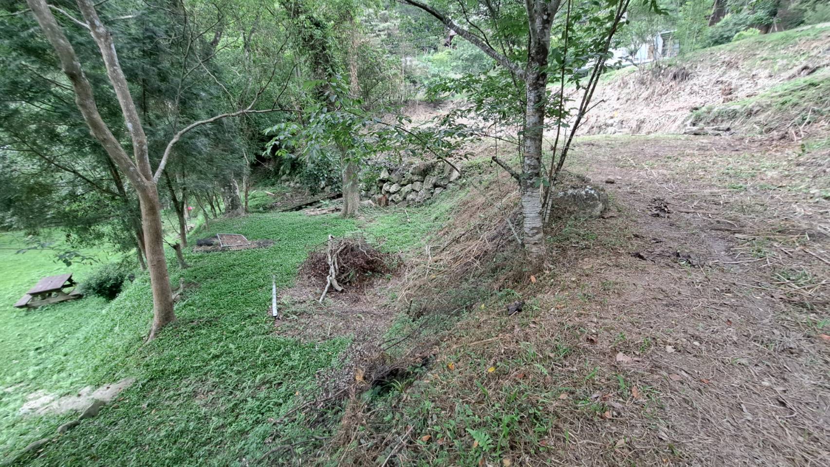 南庄田美休閒農牧用地 @#南庄土地買賣介紹
